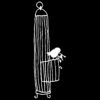 BlackBird na Gaiola com Chaves